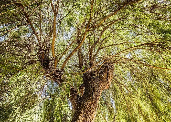 Hello Balcsi Apartmanhaz 住宿加早餐酒店 3*